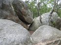 2018-05-24 14-51-32  Rando Fontainebleau FGn